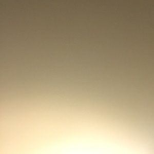 Meet your Posher, Sophia